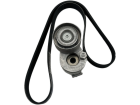 Correia de Acessório para Renault Scénic 2.0 16V F4R 2001 até 2009 - Cod. 117202848R
